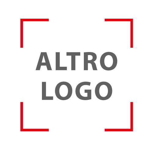 Felpa sgarzata, full zip e cappuccio - BSK304 (clone) Altro logo