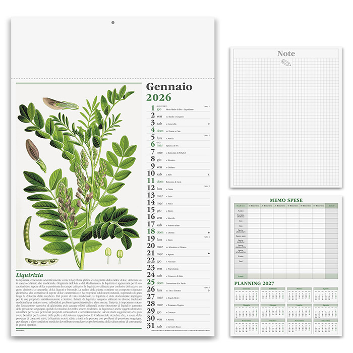 ERBORISTERIA. illustrato mensile 12 fogli&amp;#13; - PA460