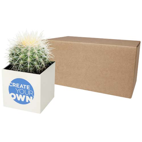 Hey Pots aluminium planted pot - cactus - 1PU003