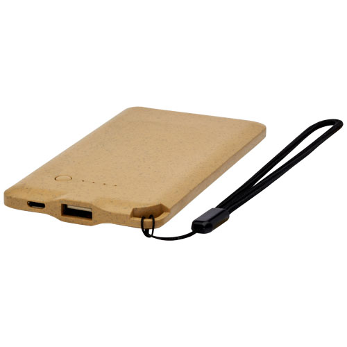 Power bank Eco da 4000 mAh - 1Z710